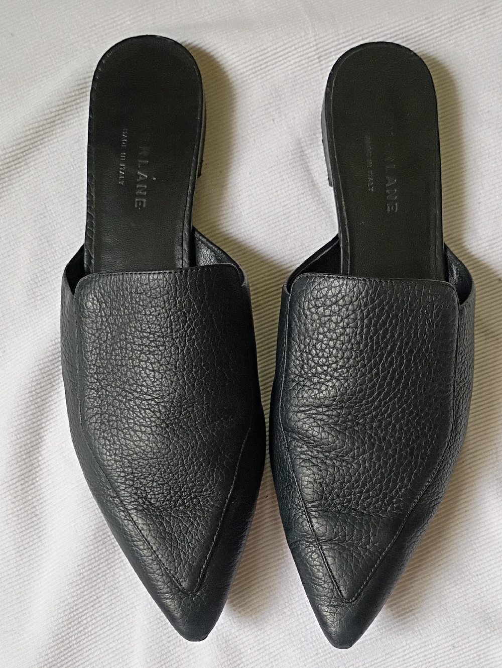 Everlane Black Leather Pointed Toe Mules